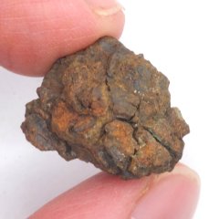 Meteorit - Pallasit - Sericho - 11,51 gramů