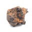 Pallasite - Sericho - 81,85 grams