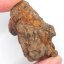 Meteorit - Pallasit - Sericho - 77,89 gramů
