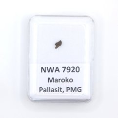 Pallasite - NWA 7920 - 0.06 grams