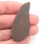 Meteorite NWA XXX (unclassified) – cut slice – 4.79 grams