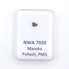 Pallasit - NWA 7920 - 0,09 gramů