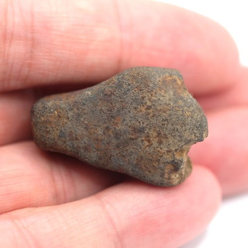 Stone Meteorite - Gao Guenie - 24.34 grams