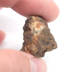 Meteorit - Pallasit - Sericho - 15,81 gramů