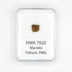 Pallasit - NWA 7920 - 0,55 gramů