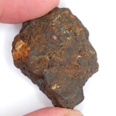 Meteorite - Pallasite - Sericho - 22.36 grams