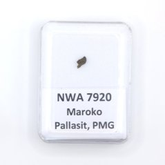 Pallasite - NWA 7920 - 0.06 grams