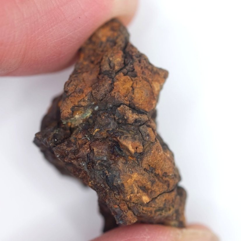Meteorit - Pallasit - Sericho - 15,88 gramů