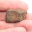 Kamenný meteorit - Gao Guenie - 18,27 gramů