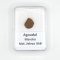 Železný meteorit - Agoudal - 4,14 gramů