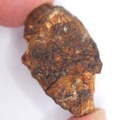 Meteorit - Pallasit - Sericho - 21,48 gramů