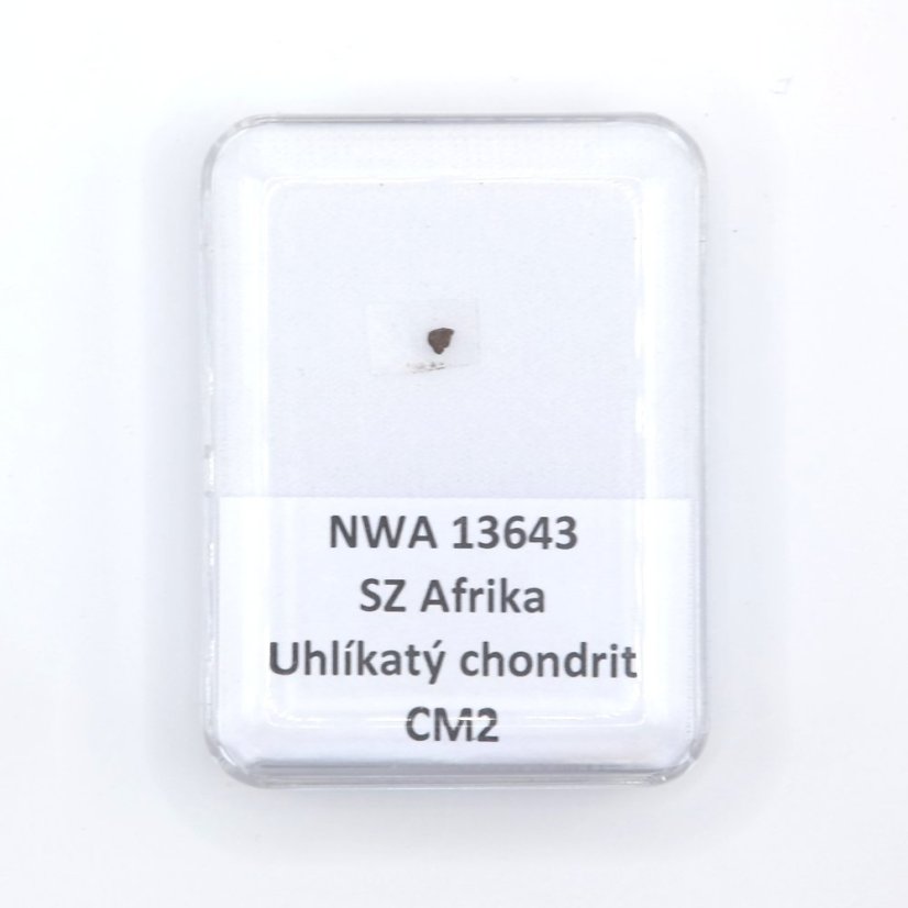 Carbonaceous Chondrite - NWA 13643 - 0.007 grams