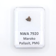 Pallasite - NWA 7920 - 0.20 grams