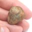 Stone Meteorite - Gao Guenie - 16.71 grams