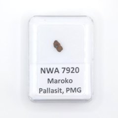Pallasite - NWA 7920 - 0.15 grams
