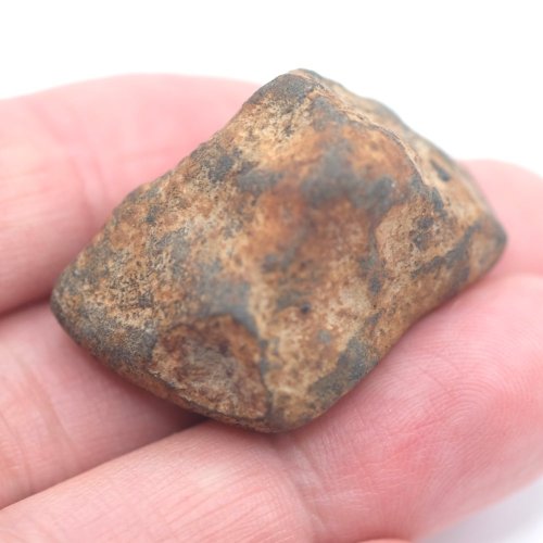 Kamenný meteorit - Gao Guenie - 28,54 gramů